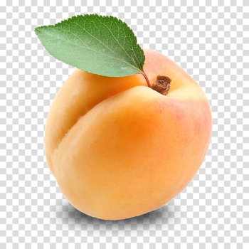 Apricot kernel Fruit Amygdalin, apricot transparent background PNG clipart Apricot kernel Fruit Amygdalin, apricot transparent background PNG clipart
