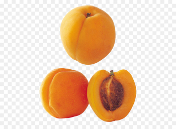 Apricot Peach Nectarine Vegetarian cuisine Fruit - apricot Apricot Peach Nectarine Vegetarian cuisine Fruit - apricot