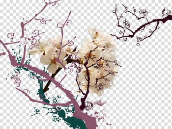Apricot Petal, White apricot open branches transparent background PNG clipart Apricot Petal, White apricot open branches transparent background PNG clipart