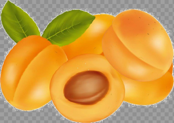Apricot Transparent Image Apricot Transparent Image