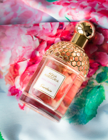Aqua Allegoria Perfume Bottle Aqua Allegoria Perfume Bottle