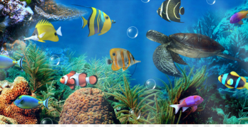 Aquarium Android Desktop Wallpaper Aptoide Wallpaper - Aquarium 