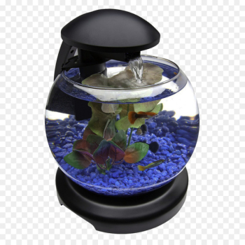 Aquarium Barcelona Goldfish - Glob Aquarium Fish Tank Aquarium Barcelona Goldfish - Glob Aquarium Fish Tank