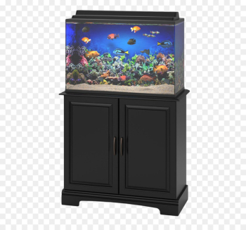 Aquarium Fish - Aquarium Fish Tank Aquarium Fish - Aquarium Fish Tank