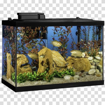 Aquarium Fish Tank Aquarium Fish Tank