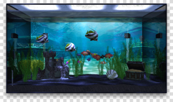 Aquarium Life Transparent Image
