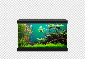 Aquarium PNG Image Background