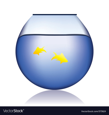 Aquarium vector image Aquarium vector image