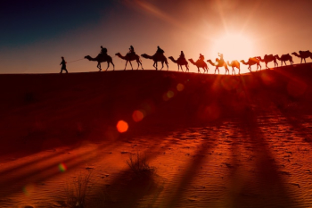 Arab people with camel caravan Arab people with camel caravan