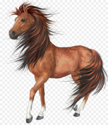 Arabian horse Akhal-Teke Black Clip art - Horses Arabian horse Akhal-Teke Black Clip art - Horses