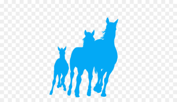 Arabian Horse, Foal, Mare, Llama, Silhouette PNG Arabian Horse, Foal, Mare, Llama, Silhouette PNG