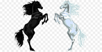 Arabian horse Stallion Euclidean vector Illustration - White Horse and Black Horse 