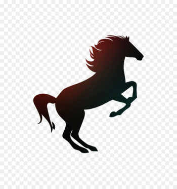 Arabian horse The Black Horse Hotel Rearing Stallion - Arabian horse The Black Horse Hotel Rearing Stallion -