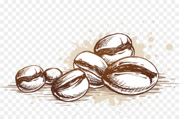 Arabic coffee Espresso Cafe - Coffee vector decorative material 