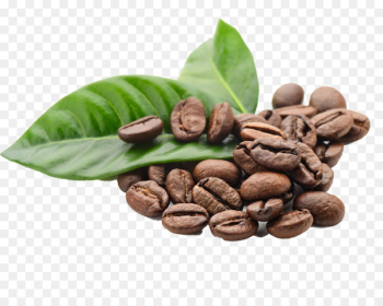 Arabica coffee Espresso Kona coffee Coffee bean - Coffee beans element 