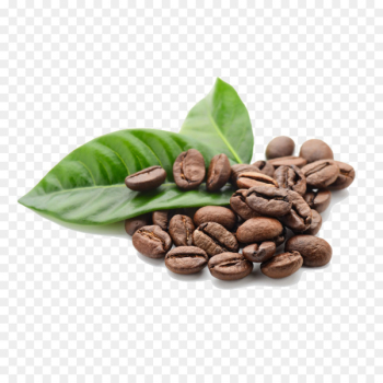 Arabica coffee Tea Cafe Robusta coffee - coffee beans 