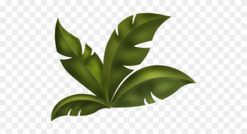 Arana Альбом «scrap Kits / Scrap Kits 13 / Sk Jungle - Jungle Leaves Clip Art Arana Альбом «scrap Kits / Scrap Kits 13 / Sk Jungle - Jungle Leaves Clip Art