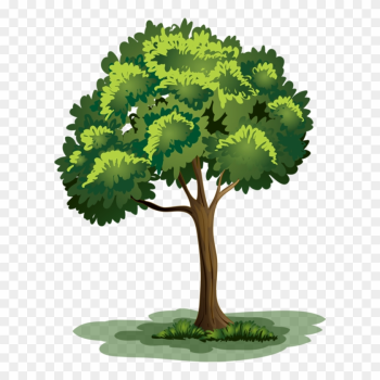 Arbre,png - Clipart Arbre Png