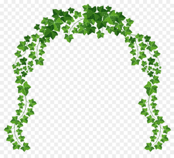 Arch Clip art - Vine Arch PNG Clipart Picture Arch Clip art - Vine Arch PNG Clipart Picture