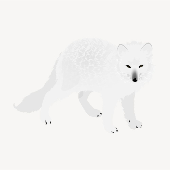 Arctic fox clipart, animal illustration | Free Vector - rawpixel Arctic fox clipart, animal illustration | Free Vector - rawpixel