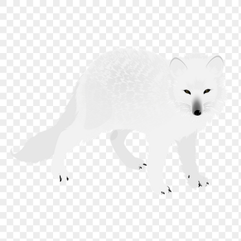 Arctic fox png sticker, animal | Free PNG - rawpixel Arctic fox png sticker, animal | Free PNG - rawpixel