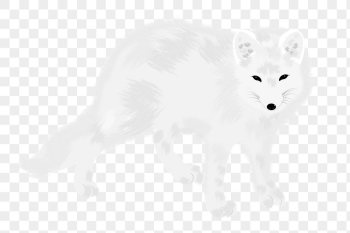 Arctic fox png sticker, animal | Free PNG - rawpixel Arctic fox png sticker, animal | Free PNG - rawpixel