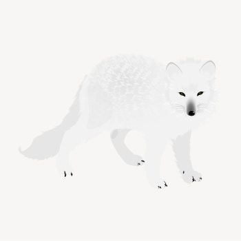 Arctic fox sticker, animal illustration | Free PSD - rawpixel Arctic fox sticker, animal illustration | Free PSD - rawpixel