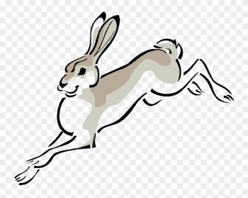 Arctic Hare European Hare Cottontail Rabbit Clip Art - Jack Rabbit Clipart Arctic Hare European Hare Cottontail Rabbit Clip Art - Jack Rabbit Clipart