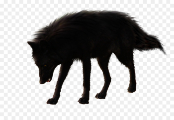 Arctic wolf Black wolf Download Clip art - wolf png download ...