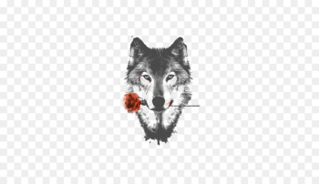 Arctic wolf HTC Desire HD High-definition video Display resolution Wallpaper - Sketch gray wolf 