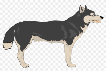 Arctic Wolf Mackenzie Valley Wolf Clip Art - Arctic Wolf Mackenzie Valley Wolf Clip Art Arctic Wolf Mackenzie Valley Wolf Clip Art - Arctic Wolf Mackenzie Valley Wolf Clip Art