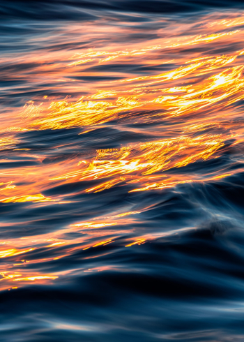 Are You Water or the Spark?
Are You Water or the Spark?