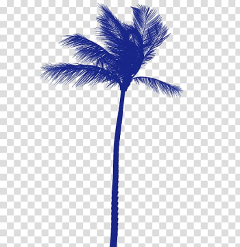 Arecaceae Coconut Tree, coconut tree transparent background PNG clipart Arecaceae Coconut Tree, coconut tree transparent background PNG clipart