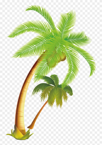 Arecaceae Coconut Tree - Coconut Tree Vector Png