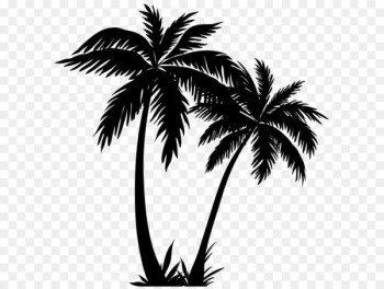 Arecaceae Silhouette Sunset - Palm Trees Silhouette PNG Clip Art Image 