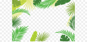 Arecaceae Text Branch Leaf Illustration - Palm leaf border Arecaceae Text Branch Leaf Illustration - Palm leaf border