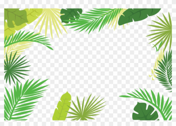 Arecaceae Text Branch Leaf Illustration - Tropical Leaves Border Png