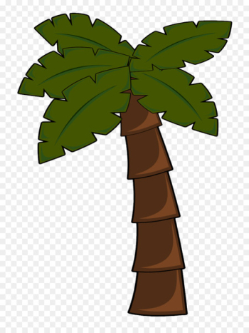 Arecaceae Tree Clip art - Beach Palm Tree Pictures 