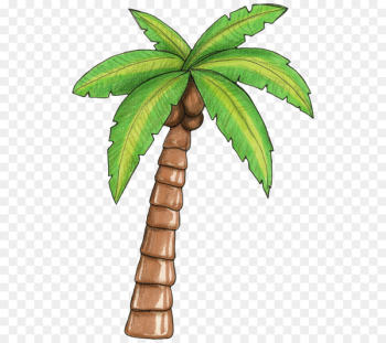 Arecaceae Tree Clip art - moana Arecaceae Tree Clip art - moana