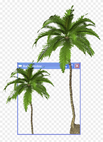 Arecaceae Youtube Aesthetics Clip Art - Coconut Tree Transparent Background