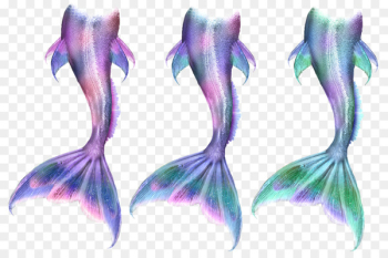 Ariel Mermaid Tail Siren Drawing - Mermaid Ariel Mermaid Tail Siren Drawing - Mermaid