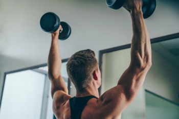 Arm Back Muscles Arm Back Muscles