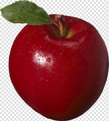 Array data structure Fruit Apple, Apple Apple transparent background PNG clipart Array data structure Fruit Apple, Apple Apple transparent background PNG clipart