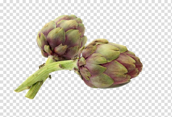 Artichoke Vegetable Avocado, artichokes transparent background PNG clipart Artichoke Vegetable Avocado, artichokes transparent background PNG clipart