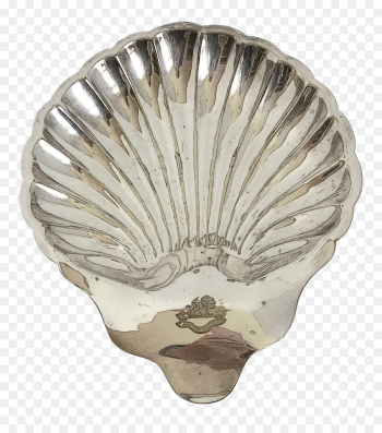 Artifact M, Cockle, Silver, Scallop, Shell PNG Artifact M, Cockle, Silver, Scallop, Shell PNG