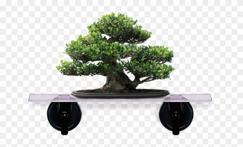 Artificial Bonsai Tree Artificial Bonsai Tree