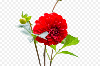 Artificial flower Artificial flower
