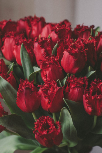 Artificial Red Tulips Artificial Red Tulips
