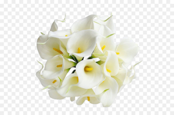 Arum-lily Flower bouquet Wedding Bride - Calla PNG Transparent Image 