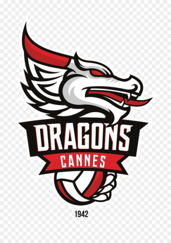 AS Cannes Volley-Ball FL Saint-Quentin Volleyball - volleyball 